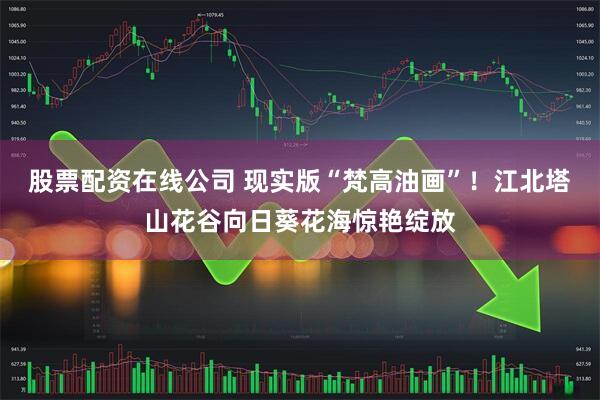 股票配资在线公司 现实版“梵高油画”！江北塔山花谷向日葵花海惊艳绽放